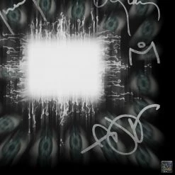 RARE-T Limited Edition Frames Tool Aenima Gold LP Limited Signature Edition Studio Licensed Custom Frame