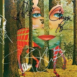 RARE-T Limited Edition Frames Styx - The Grand Illusion LP Cover Limited Signature Edition Studio Licensed Custom Frame