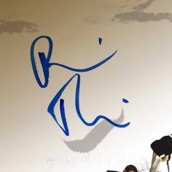 RARE-T Robin Thicke - The Evolution Of Robin Thicke Gold LP Limited Signature Edition Studio Licensed Custom Frame