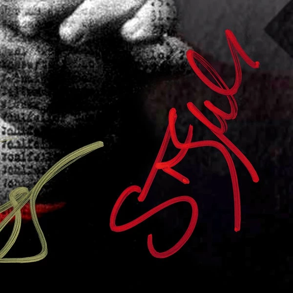 RARE-T Limited Edition Frames Schindler's List Photo & VHS Limited Signature Edition Studio Licensed Custom Frame 5 RARE-T Limited Edition Frames Schindler's List Photo & VHS Limited Signature Edition Studio Licensed Custom Frame