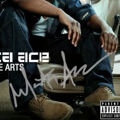 RARE-T Limited Edition Frames Masta Ace - Disposable Arts Gold LP Limited Signature Edition Studio Licensed Custom Frame 13 RARE-T Limited Edition Frames Masta Ace - Disposable Arts Gold LP Limited Signature Edition Studio Licensed Custom Frame