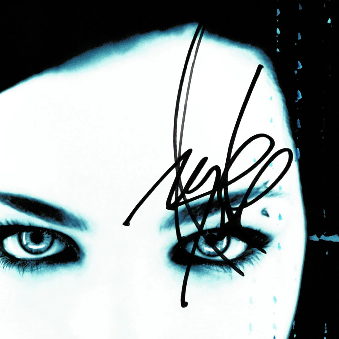 RARE-T Evanescence Fallen Gold LP Limited Signature Edition Studio Licensed Custom Frame 2 RARE-T Evanescence Fallen Gold LP Limited Signature Edition Studio Licensed Custom Frame