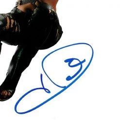 RARE-T Catwoman (2004) Photo Limited Signature Edition Studio Licensed Custom Frame