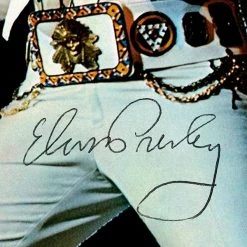 RARE-T Limited Edition Frames Elvis Presley Boulevard Memphis Tennessee Gold LP Limited Signature Edition Studio Licensed Custom Frame