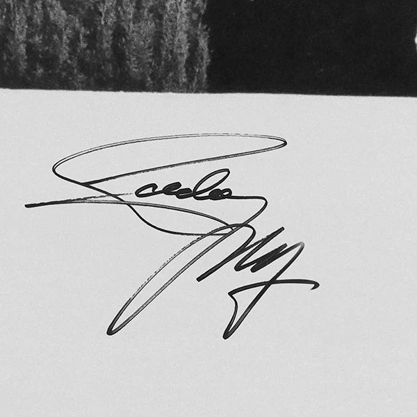 RARE-T Limited Edition Frames Eddie Money - No Control Gold LP Limited Signature Edition Studio Licensed Custom Frame 4 RARE-T Limited Edition Frames Eddie Money - No Control Gold LP Limited Signature Edition Studio Licensed Custom Frame