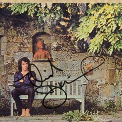 RARE-T Limited Edition Frames Neil Diamond - Stones Gold LP Limited Signature Edition Studio Licensed Custom Frame