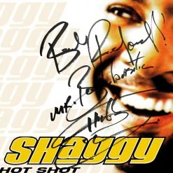 RARE-T Shaggy - Hot Shot Platinum LP Limited Signature Edition Studio Licensed Custom Frame
