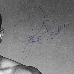 RARE-T Joe Louis Memorial Photo Limited Signature Edition Licensed Custom Frame