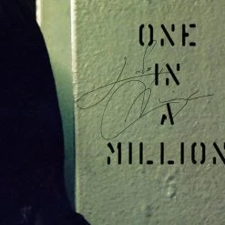 RARE-T NEW Aaliyah - One In A Million LP Cover Limited Signature Edition Studio Licensed Custom Frame