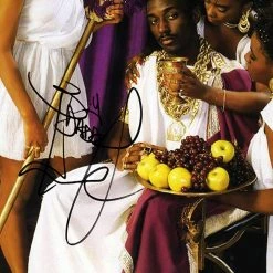 RARE-T Big Daddy Kane Long Live The Kane Gold LP Limited Signature Edition Studio Licensed Custom Frame