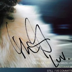 RARE-T Macy Gray - On How Life Is LP Cover Limited Signature Edition Studio Licensed Custom Frame