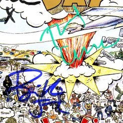 RARE-T Limited Edition Frames Green Day Dookie Platinum LP Limited Signature Edition Studio Licensed Custom Frame