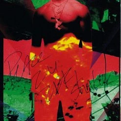 RARE-T Limited Edition Frames 2 Pac - Strictly 4 My Niggaz LP Cover Limited Signature Edition Studio Licensed Custom Frame
