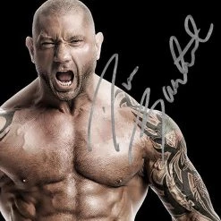 RARE-T WWE Dave 'Batista' Bautista Limited Signature Edition Studio Licensed Photo Custom Frame Sports Memorabilia