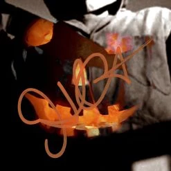 RARE-T Halloween (1978) Photo & VHS Limited Signature Edition Studio Licensed Custom Frame