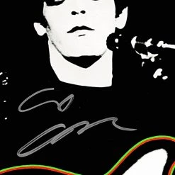RARE-T Lou Reed - Transformer Platinum LP Limited Signature Edition Studio Licensed Custom Frame 13 RARE-T Lou Reed - Transformer Platinum LP Limited Signature Edition Studio Licensed Custom Frame