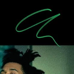 RARE-T The Weeknd Kiss Land Gold LP Limited Signature Edition Studio Licensed Custom Frame Limited Edition Frames