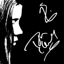 RARE-T Limited Edition Frames The Chemical Brothers - Dig Your Own Hole Platinum LP Limited Signature Edition Studio Licensed Custom Frame