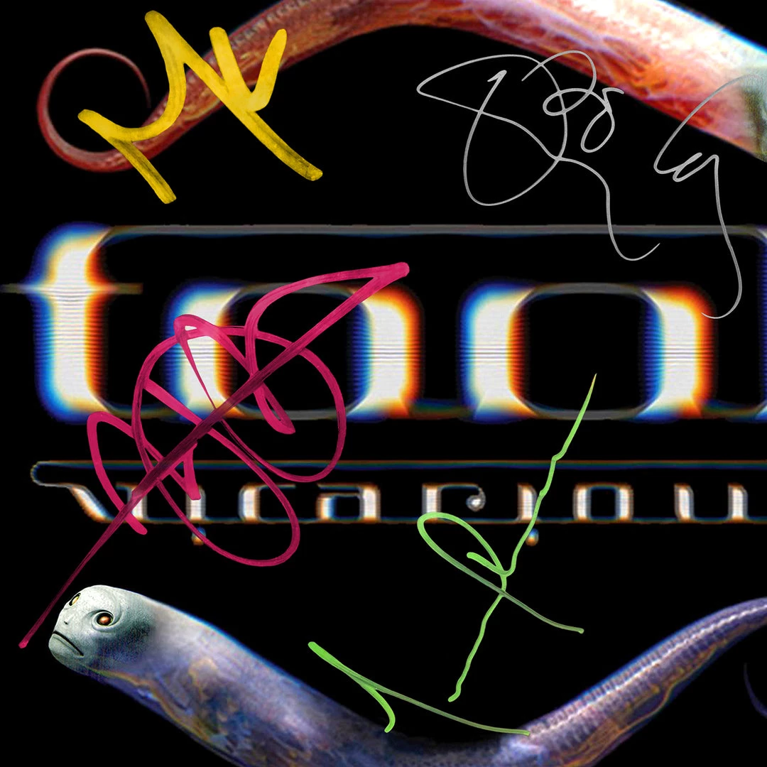 RARE-T Tool - Vicarious Gold LP Limited Signature Edition Studio Licensed Custom Frame Limited Edition Frames 4 RARE-T Tool - Vicarious Gold LP Limited Signature Edition Studio Licensed Custom Frame Limited Edition Frames