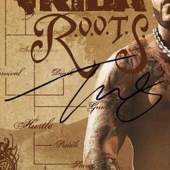 RARE-T Flo Rida - R.O.O.T.S Gold LP Limited Signature Edition Studio Licensed Custom Frame 13 RARE-T Flo Rida - R.O.O.T.S Gold LP Limited Signature Edition Studio Licensed Custom Frame