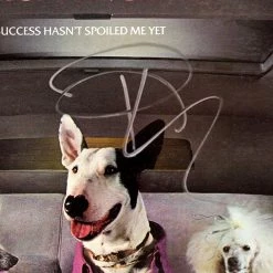 RARE-T Limited Edition Frames Rick Springfield- 'Success Hasn't Spoiled Me' Limited Signature Edition Studio Licensed Platinum LP Custom Frame