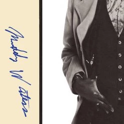 RARE-T Muddy Waters Hard Again Gold LP Limited Signature Edition Studio Licensed Custom Frame Limited Edition Frames