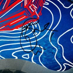 RARE-T Panic At The Disco - Death By A Bachelor Platinum LP Limited Signature Edition Studio Licensed Custom Frame