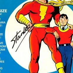 RARE-T With One Magic Word... Shazam Limited Signature Edition Comic Book Cover Art Custom Frame Limited Edition Frames