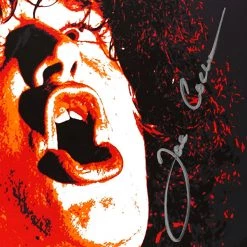 RARE-T Limited Edition Frames Joe Cocker - With A Little Help From Friends Platinum LP Limited Signature Edition Studio Licensed Custom Frame