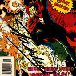 RARE-T Limited Edition Frames Silver Surfer Vs Dracula (1994) Stan Lee Limited Signature Edition Comic Book Cover Art Custom Frame