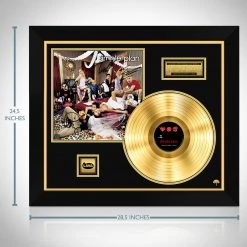 RARE-T Simple Plan - No Pads, No Helmets...Just Balls Gold LP Limited Signature Edition Studio Licensed Custom Frame