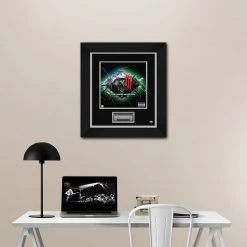 RARE-T Limited Edition Frames Skrillex Scary Monsters LP Cover Limited Signature Edition Studio Licensed Custom Frame