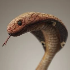 RARE-T Cobra Cast Bottle Holder Display Stand