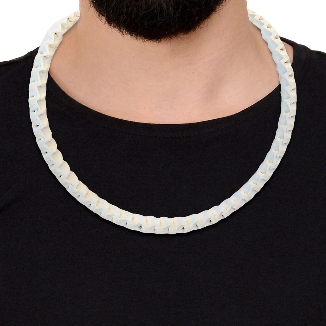 RARE-T Rattlesnake Bone Necklace Ancient Artifacts 5 RARE-T Rattlesnake Bone Necklace Ancient Artifacts