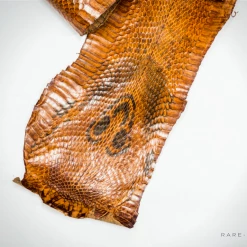Larbi Cobra Snake Skin '57 Inch' Tanned Hide/Leather