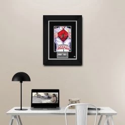 RARE-T Peter Parker The Spectacular Spider-Man #1 Stan Lee Limited Signature Edition Comic Book Cover Art Custom Frame Limited Edition Frames