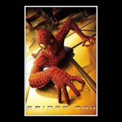 RARE-T Spider-Man Movie Script Limited Signature Edition Studio Licensed Custom Frame Limited Edition Frames