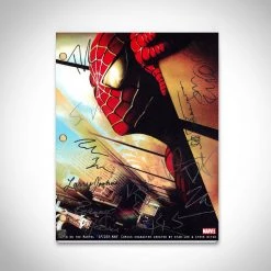 RARE-T Spider-Man Movie Script Limited Signature Edition Studio Licensed Custom Frame