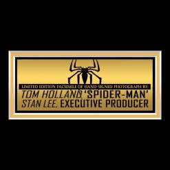 RARE-T Limited Edition Frames Spider-Man Captain America Shield Photo Limited Signature Edition Studio Licensed Custom Frame