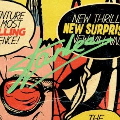 RARE-T Stan Lee- Spider-Man Caricature Art Limited Signature Edition Studio Licensed Photo Custom Frame