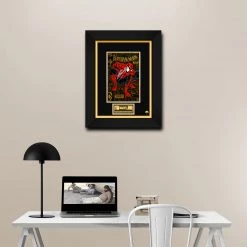 RARE-T Limited Edition Frames Spider-Man Torment #1 Stan Lee Limited Signature Edition Licensed Comic Book Cover Art Custom Frame