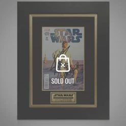APW Star Wars #1 Comic Book Hand-Signed By Mark Hamill & Stan Lee Custom Frame Signed Memorabilia