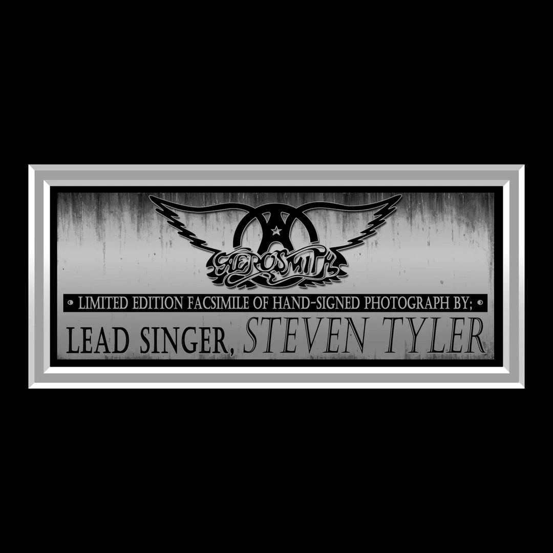 RARE-T Limited Edition Frames Aerosmith - Steven Tyler Limited Signature Edition Studio Licensed Photo Custom Frame 3 RARE-T Limited Edition Frames Aerosmith - Steven Tyler Limited Signature Edition Studio Licensed Photo Custom Frame