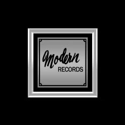 Rare-T Limited Edition Frames Stevie Nicks The Wild Heart Limited Signature Edition Studio Licensed Platinum LP Custom Frame