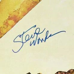 Rare-T Limited Edition Frames Stevie Wonder Innervisions Limited Signature Edition Studio Licensed Platinum LP Custom Frame