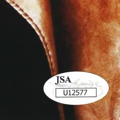 PPC Ferris Bueller's Day Off JSA Certified Hand-Signed Mini Poster By Matthew Broderick Custom Frame