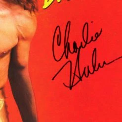 Rare-T Limited Edition Frames Ted Nugent Scream Dream Limited Signature Edition Studio Licensed Gold LP Custom Frame