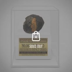 RARE-T Meteorite Authentic Giant Squid Eye Tektite Museum Display