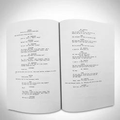 RARE-T The Blues Brothers Script Limited Signature Edition Studio Licensed Custom Frame