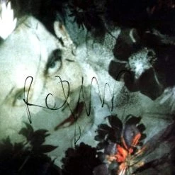 RARE-T The Cure Disintegration LP Cover Limited Signature Edition Studio Licensed Custom Frame Limited Edition Frames